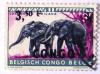 Colnect-552-856-Elephant-From-Belgian-Congo-Op-Congo---Oc.jpg