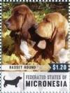 Colnect-5812-298-Basset-hounds.jpg