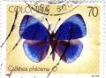 Colnect-1129-738-Charles-Darwin-Butterfly-Callithea-philotima.jpg