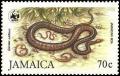 Colnect-1700-673-Jamaican-Boa-Epicrates-subflavus.jpg