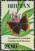 Colnect-2891-038-Camberwell-Beauty-Euranessa-antiopa.jpg
