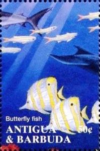 Colnect-4112-755-Butterfly-fish.jpg