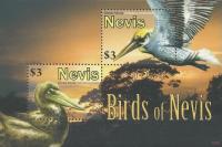 Colnect-4562-582-Birds-of-Nevis.jpg