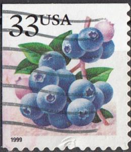 Colnect-3958-098-Fruit-Berries-Blueberries.jpg