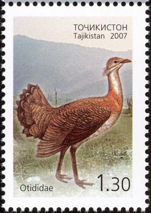 Colnect-1103-156-Great-Bustard%C2%A0Otis-tarda.jpg