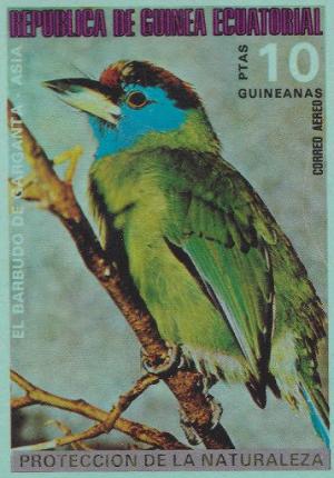 Colnect-1442-844-Blue-throated-Barbet-Psilopogon-asiaticus.jpg