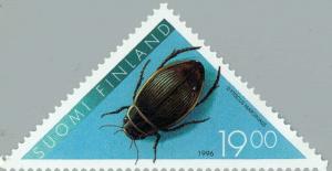 Colnect-160-365-Great-diving-beetle-Dytiscus-marginalis.jpg