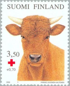 Colnect-160-576-Domestic-Cattle-Bos-primigenius-taurus---Male.jpg
