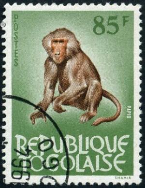 Colnect-1649-981-Olive-Baboon-Papio-doguera.jpg