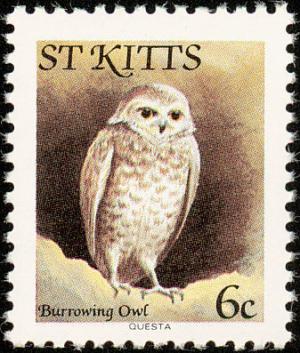 Colnect-1659-306-Burrowing-Owl.jpg