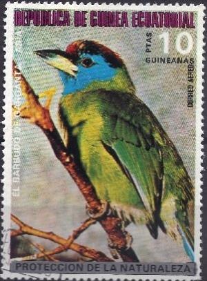 Colnect-1673-278-Blue-throated-Barbet-Psilopogon-asiaticus.jpg