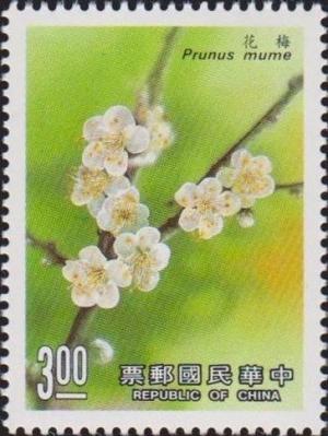Colnect-3040-038-Plum-blossom-Prunus-mume.jpg