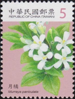 Colnect-3067-649-Chinese-box-Murraya-paniculata.jpg