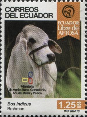 Colnect-3418-761-Brahman-Bos-primigenus-indicus.jpg