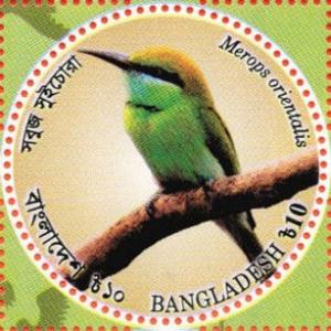 Colnect-3525-512-Little-Green-Bee-eater-Merops-orientalis.jpg
