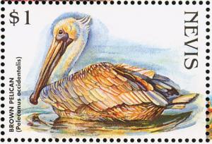 Colnect-3798-887-Brown-pelican.jpg
