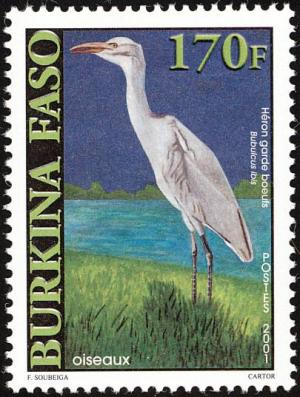 Colnect-3986-660-Bubulcus-Ibis.jpg