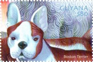 Colnect-4863-477-Boston-Terrier.jpg