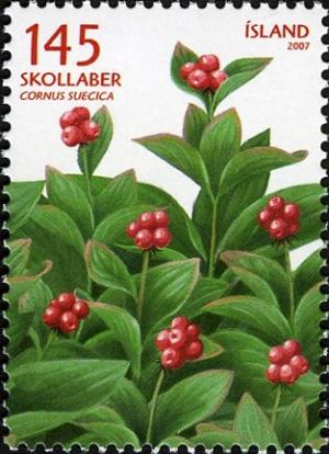 Colnect-5063-768-Wild-berries---Skollaber.jpg