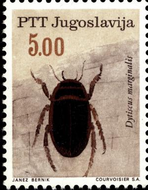 Colnect-5520-377-Great-Diving-Beetle-Dytiscus-marginalis.jpg