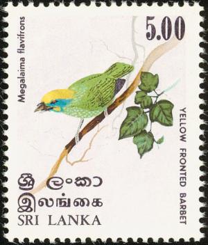 Colnect-862-146-Yellow-fronted-Barbet-Megalaima-flavifrons.jpg