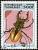 Colnect-2074-515-Golden-Stag-Beetle-Odontolabis-cuvera.jpg