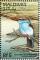 Colnect-4201-300-Blue-breasted-kingfisher.jpg