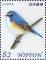 Colnect-4116-613-Red-flanked-bluetail-Tarsiger-cyanurus.jpg