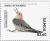 Colnect-3605-915-Red-Bellied-Woodpecker.jpg