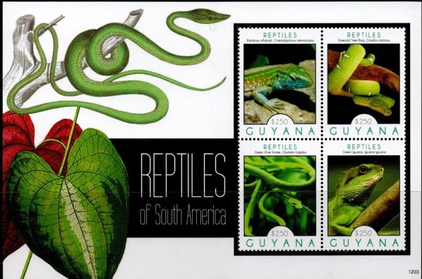 Colnect-4943-267-Rainbow-Whiptail-Boa-Green-Vine-Snake-and-Iguana.jpg