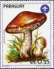 Colnect-2063-994-Boletus-luteus.jpg