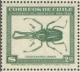 Colnect-2101-254-Grant--s-Stag-Beetle-Chiasognathus-grantil.jpg