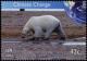 Colnect-2576-213-Polar-Bear-Ursus-maritimus.jpg
