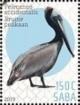 Colnect-6138-448-Birds-of-Saba.jpg