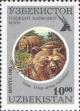 Colnect-804-380-Himalayan-Brown-Bear-Ursus-arctos-isabellinus.jpg