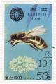 Colnect-955-627-Honey-Bee-Apis-mellifera.jpg