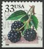 Colnect-3959-863-Fruit-Berries-Blackberries.jpg