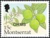 Colnect-1530-041-Lime-Citrus-aurantifolia.jpg