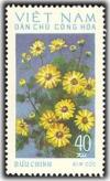 Colnect-1625-658-Kim-Cuc-Chrysanthemum.jpg