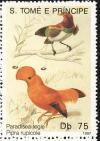 Colnect-2103-173-King-Bird-of-paradise-Cicinnurus-regius-Guianan-Cock-of-t.jpg