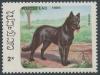Colnect-3005-874-Bernese-Canis-lupus-familiaris.jpg