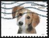Colnect-3483-593-Puppies-Canis-lupus-familiaris.jpg