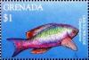 Colnect-4569-648-Creole-wrasse.jpg
