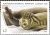Colnect-4832-358-Crabeater-Seal.jpg