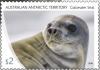 Colnect-4832-359-Crabeater-Seal.jpg