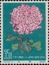 Colnect-485-632-Chrysanthemum.jpg