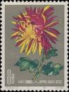 Colnect-485-658-Chrysanthemum.jpg