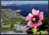 Colnect-5493-172-Lavatera-arborea-in-Cabrera-Archipelago-National-Park.jpg