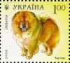 Colnect-557-796-Chow-Chow-Canis-lupus-familiaris.jpg