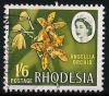 STS-Rhodesia-1-300dpi.jpeg-crop-386x340at1338-1279.jpg
